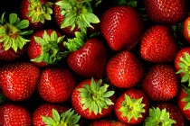 320px-Strawberries_with_hulls_-_scan_wikimedia