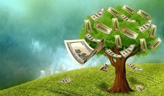 Money grows on trees